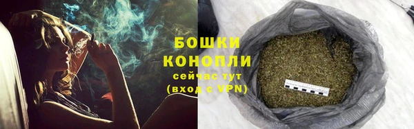 стафф Ладушкин