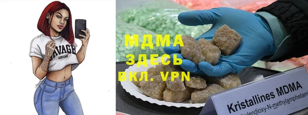 индика Лабытнанги