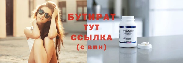индика Лабытнанги