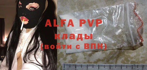 стафф Ладушкин