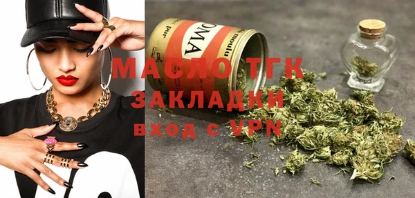 индика Лабытнанги
