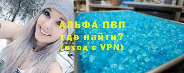 индика Лабытнанги