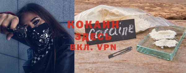 стафф Ладушкин