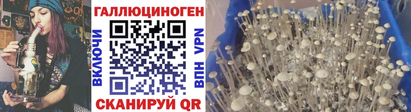 Купить закладки  Анадырь  Галлюциногенные грибы ЛСД 